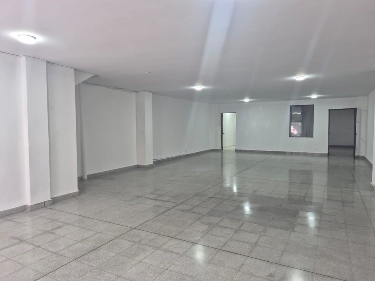 Bodega - Foto 3