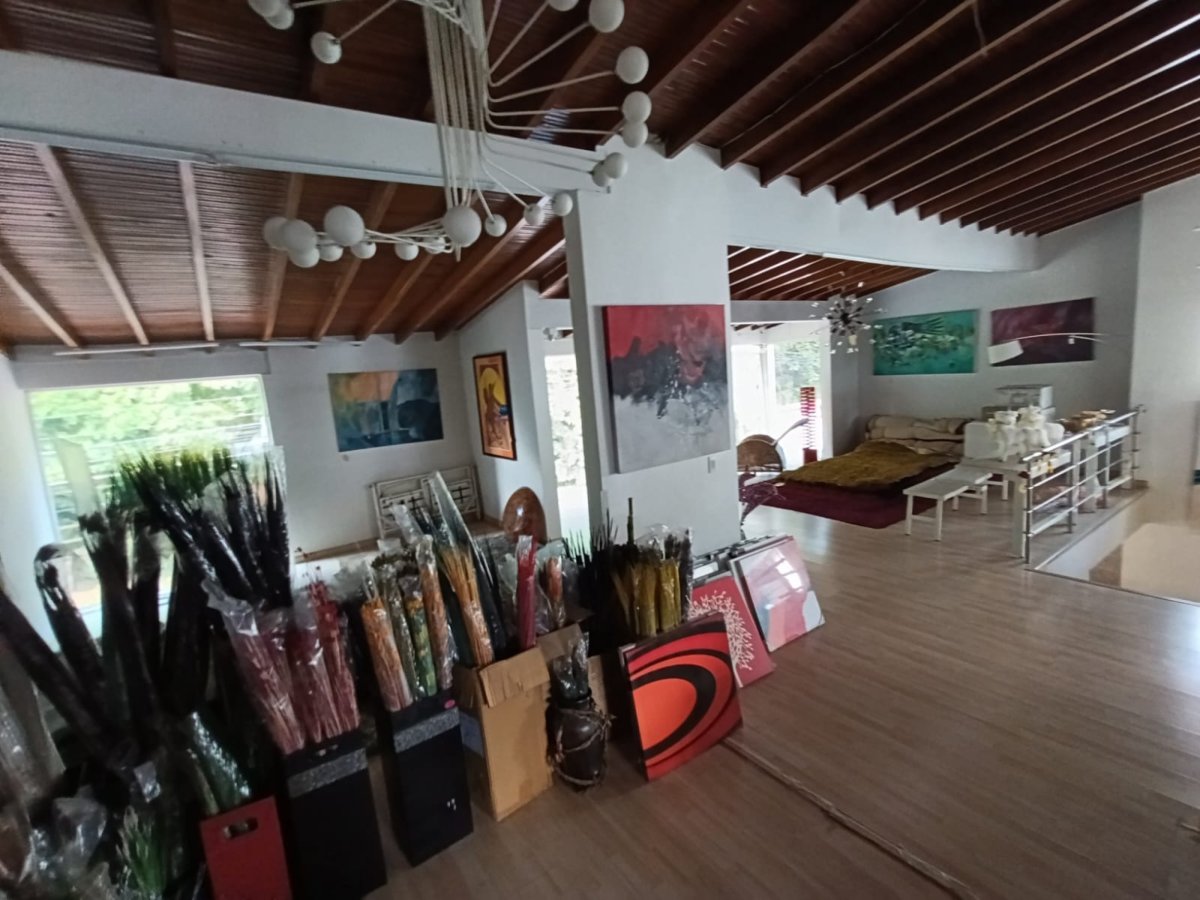 Bodega - Foto 2
