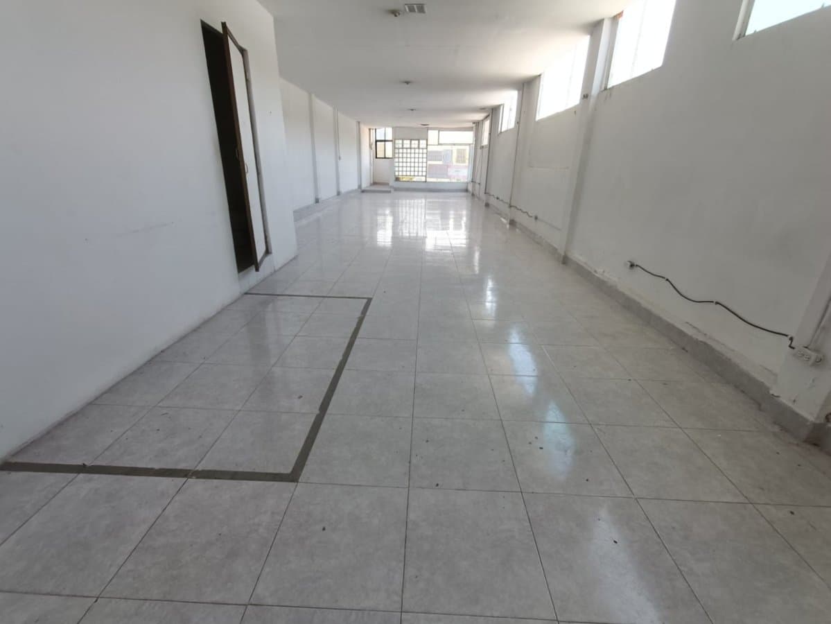 Bodega - Foto 6