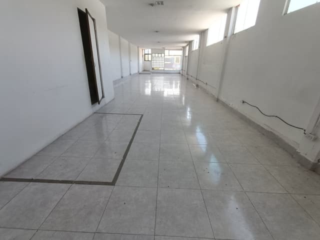 Bodega en Mayorista