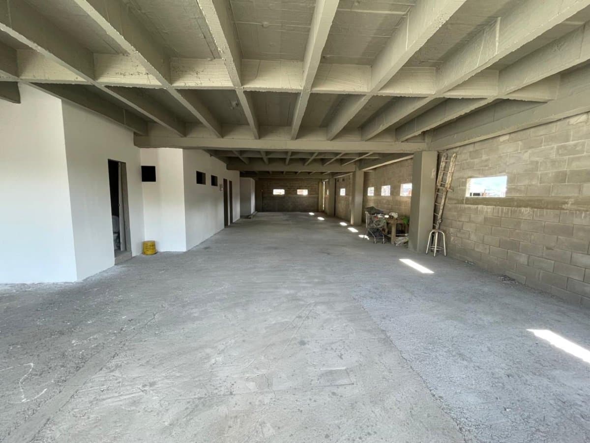 Bodega - Foto 4