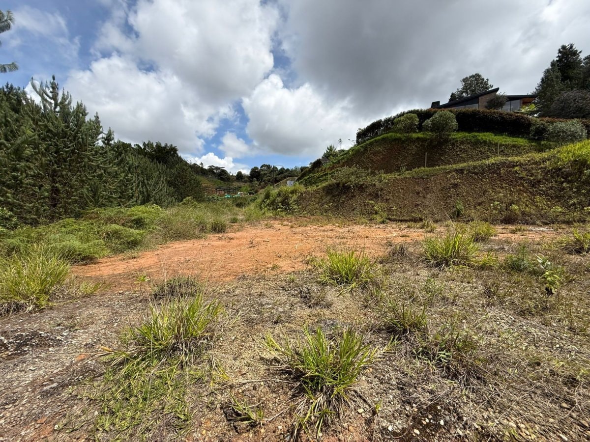 Lote - Foto 8