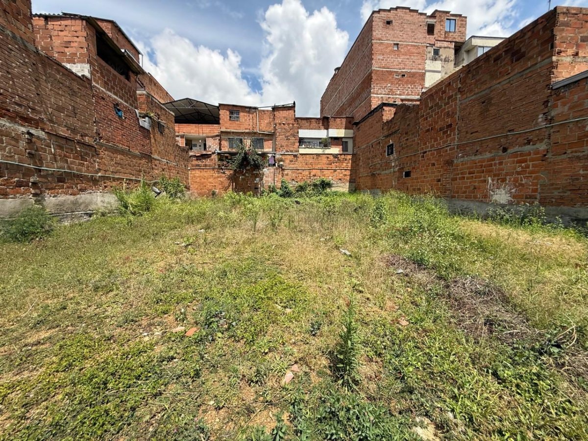 Lote - Foto 5