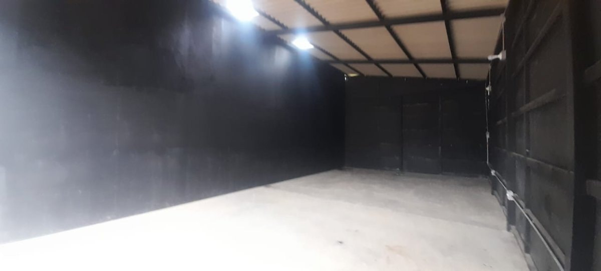 Bodega - Foto 3