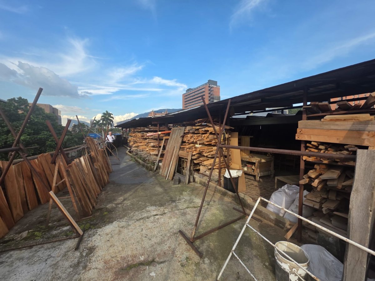 Bodega - Foto 5
