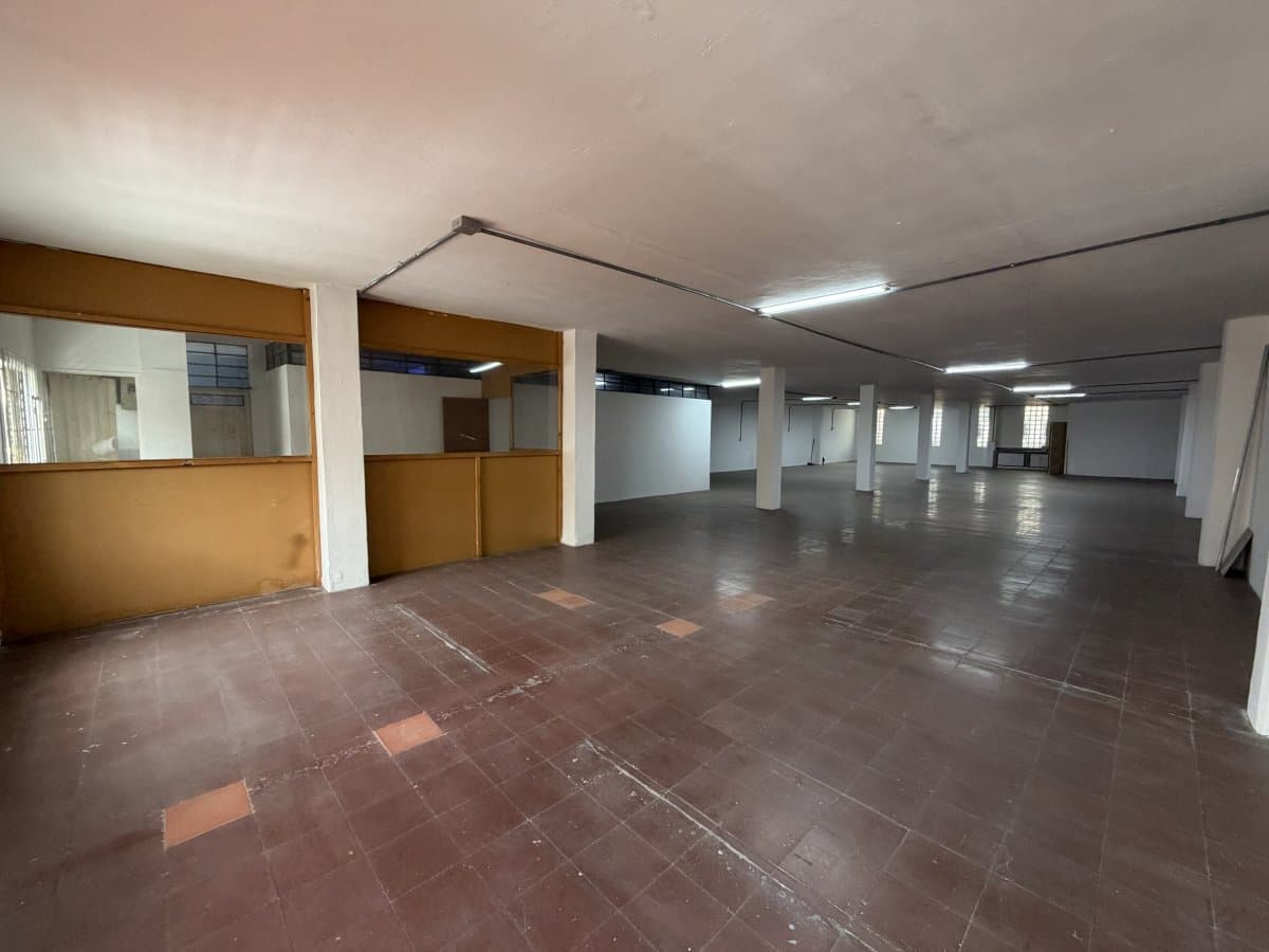 Bodega - Foto 6