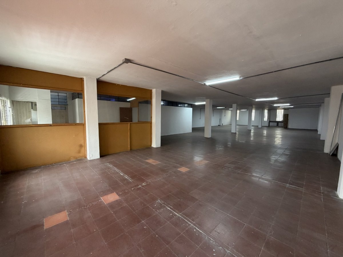 Bodega - Foto 6