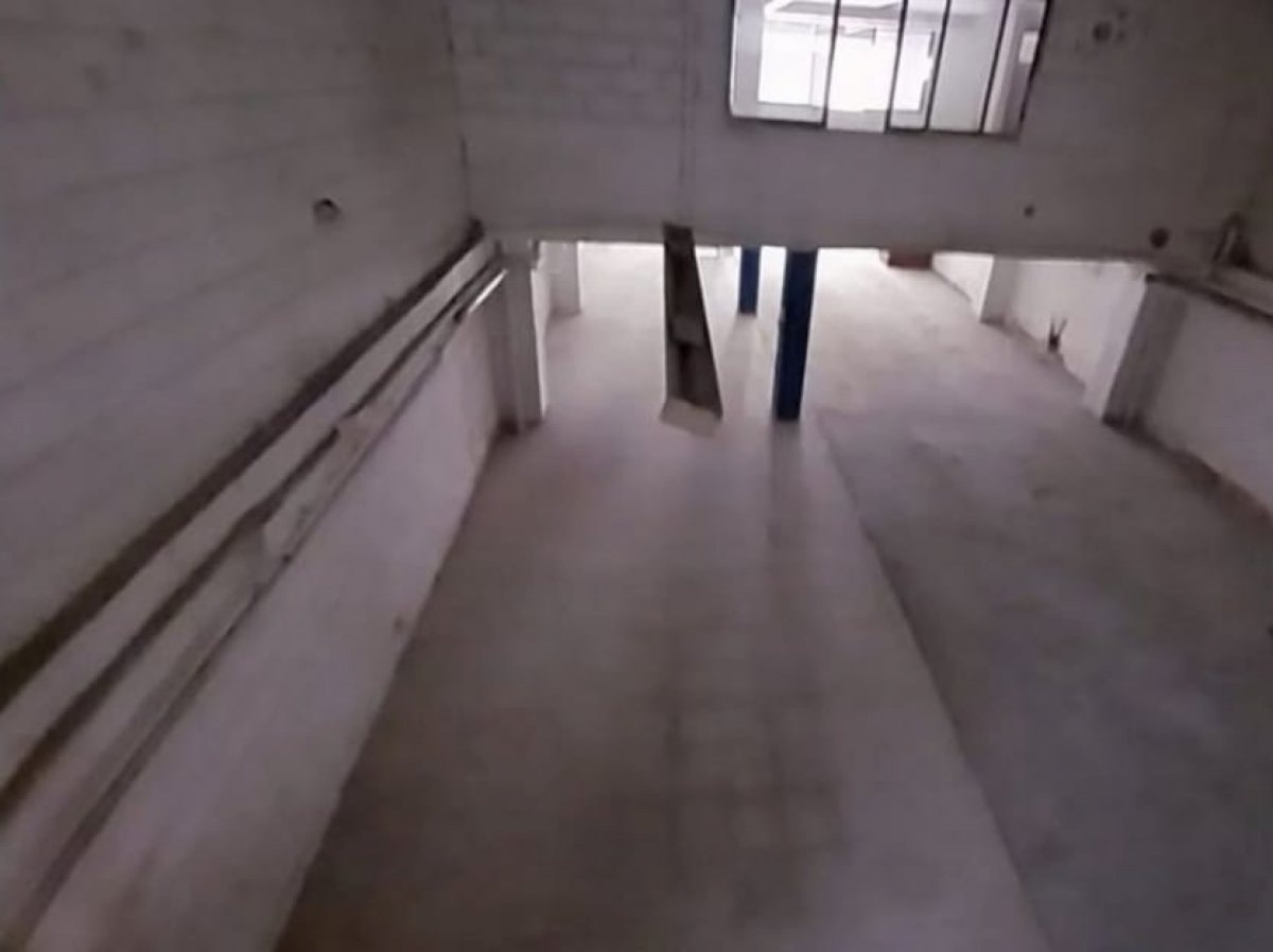 Bodega - Foto 5