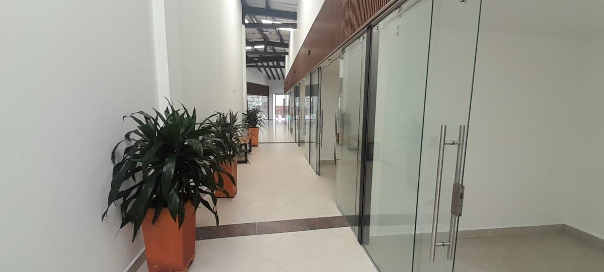 Local - Foto 3