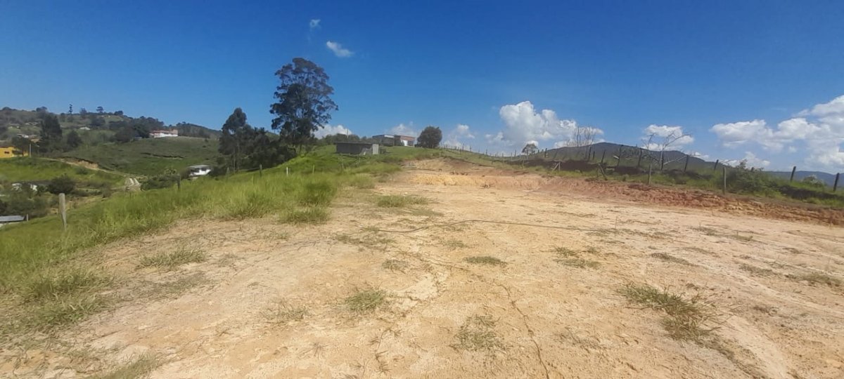 Lote - Foto 23