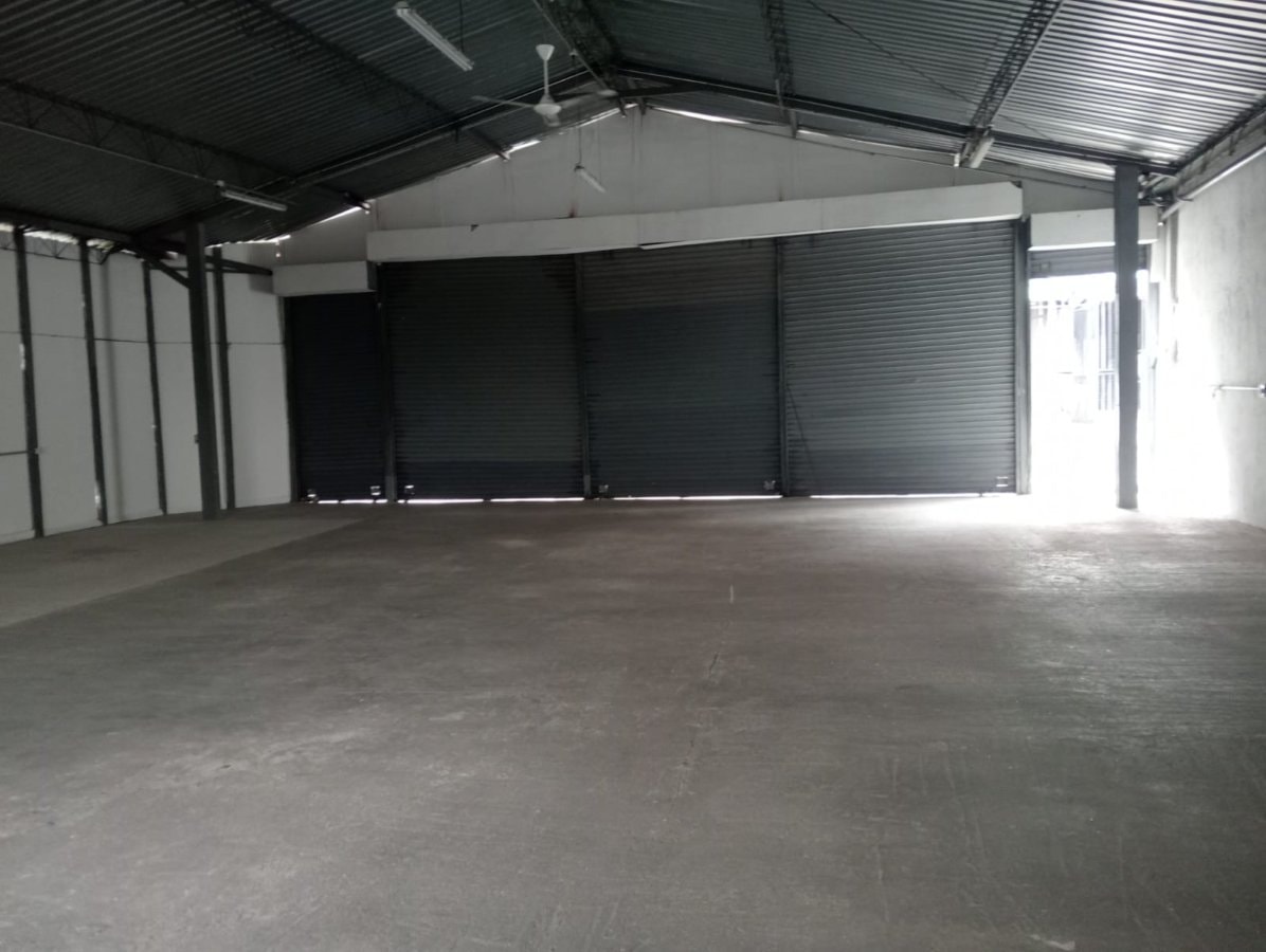 Bodega - Foto 15