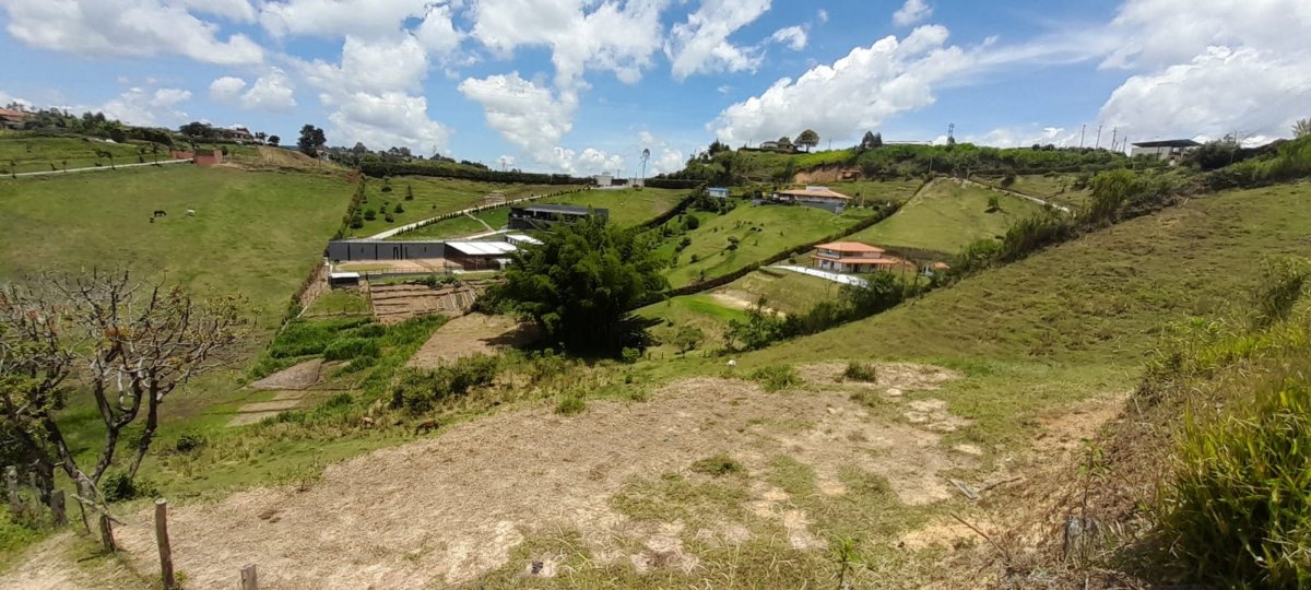 Lote - Foto 1