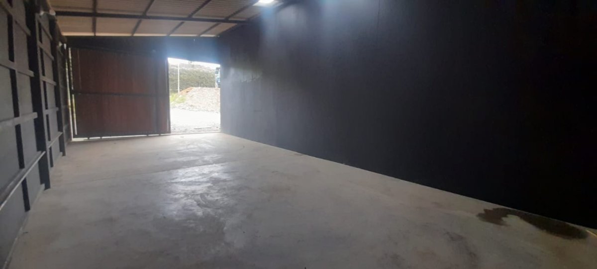 Bodega - Foto 4