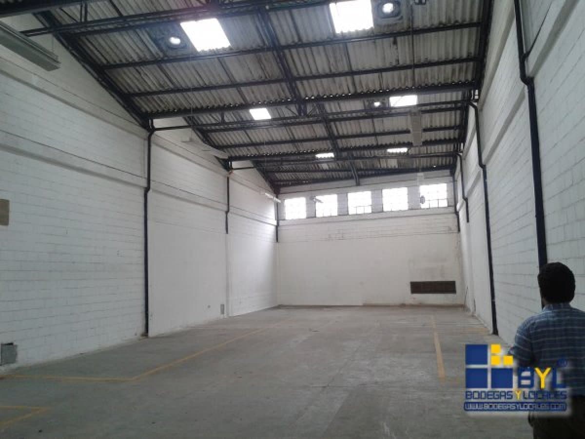 Bodega - Foto 6