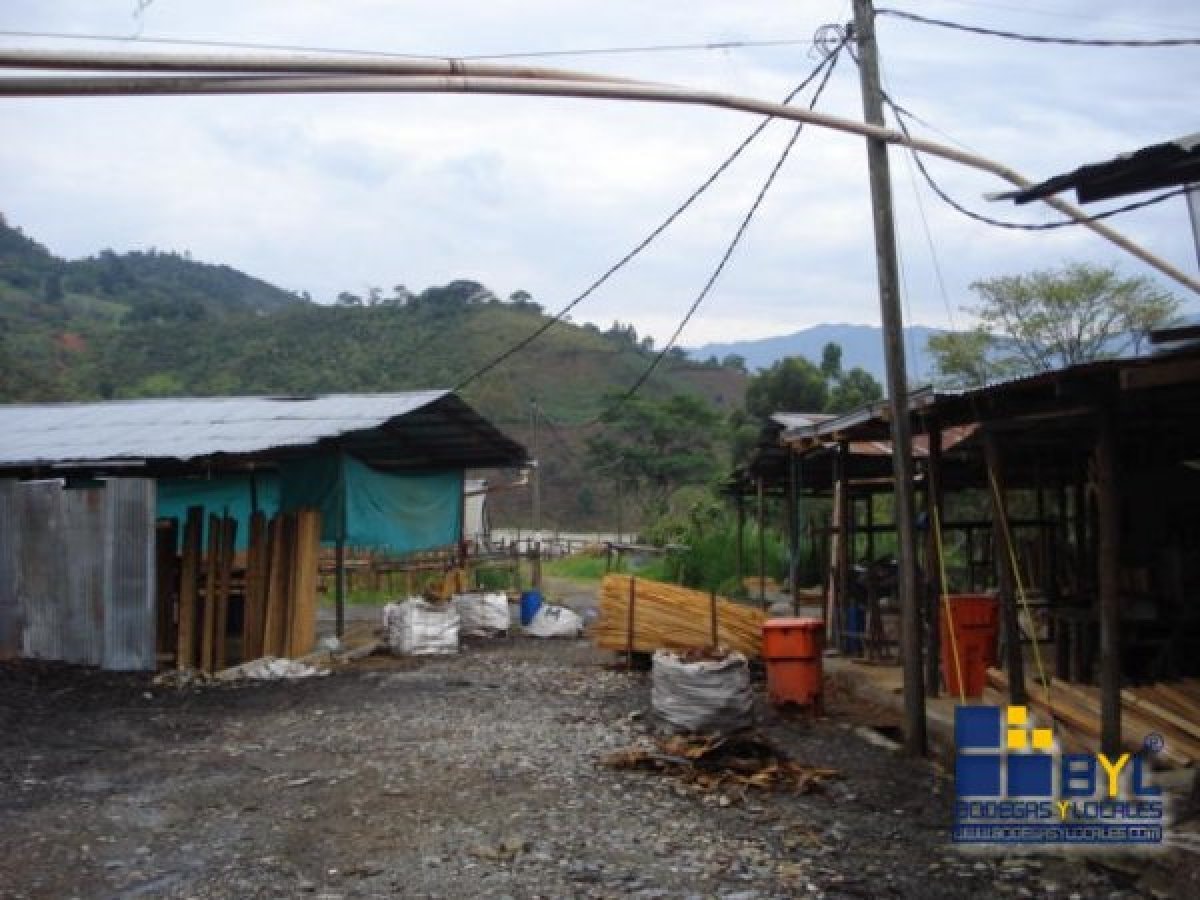 Lote - Foto 3