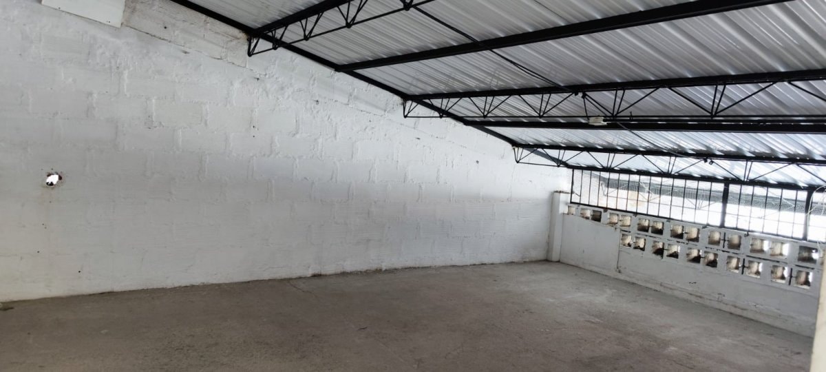 Bodega - Foto 1