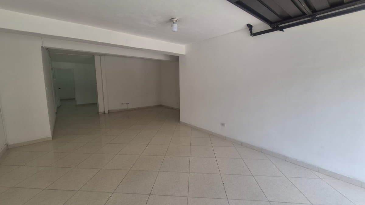 Bodega - Foto 10