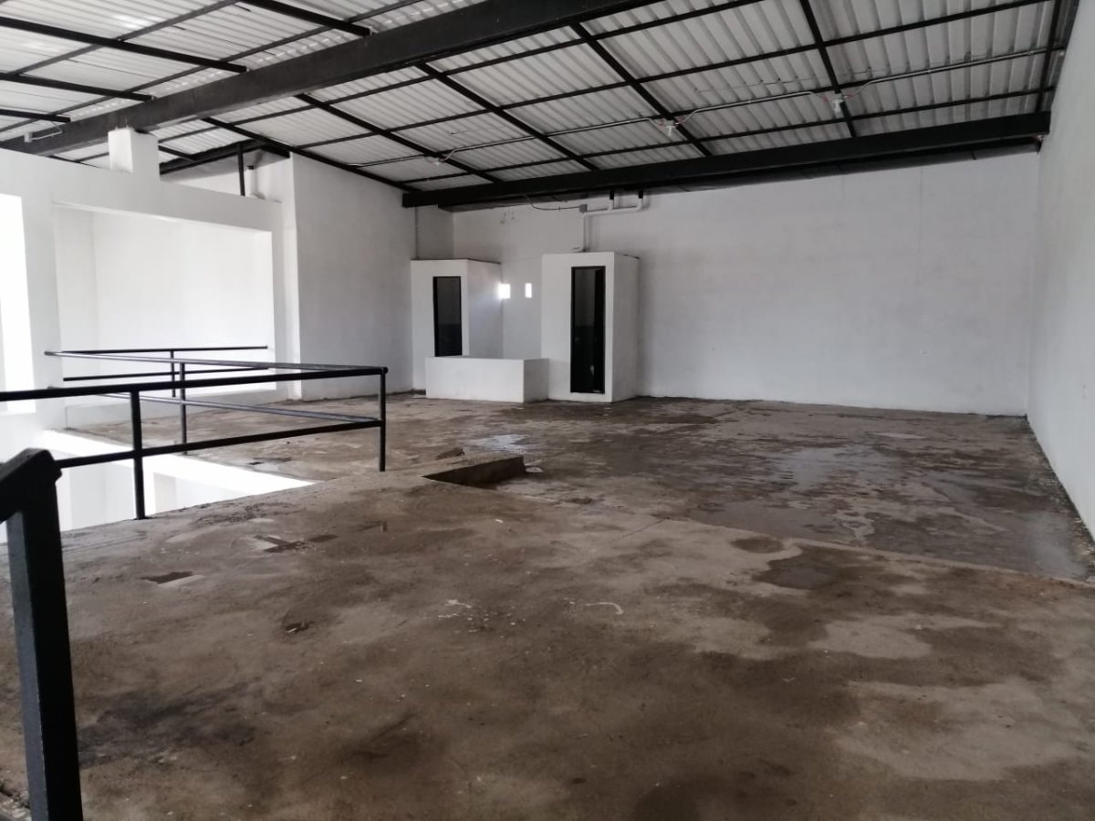 Bodega - Foto 1