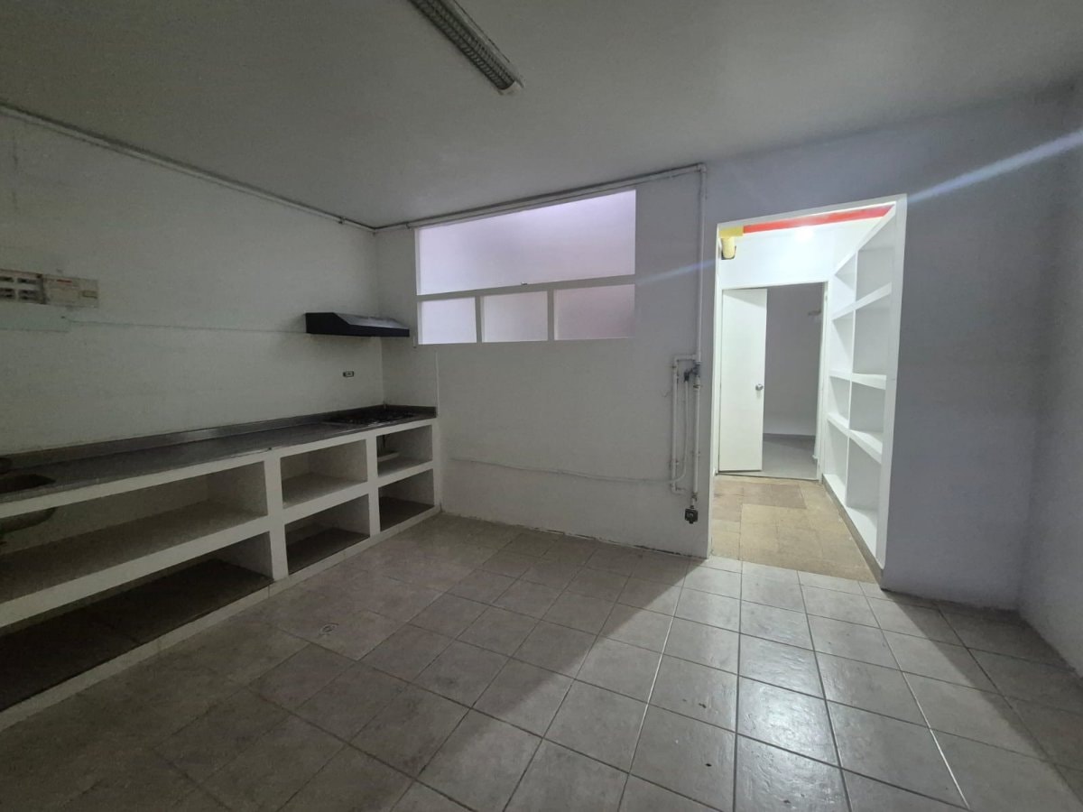 Bodega - Foto 11
