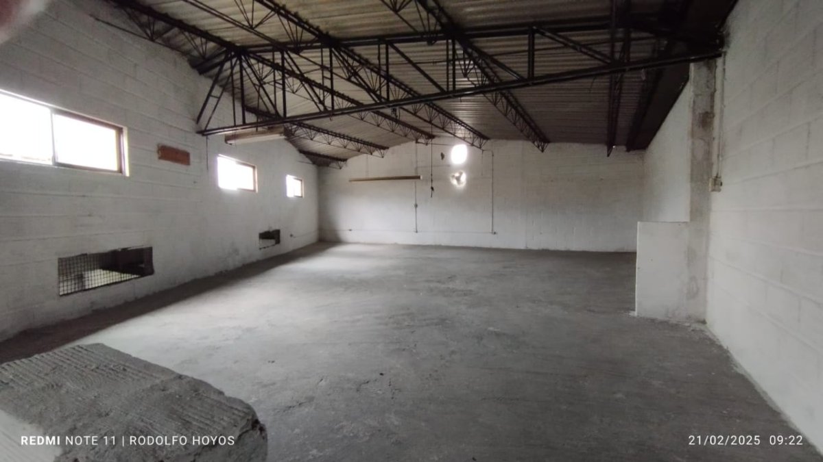 Bodega - Foto 6