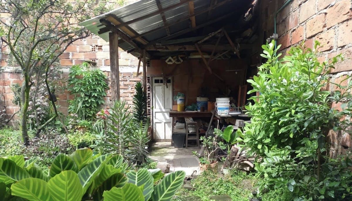 Lote - Foto 5