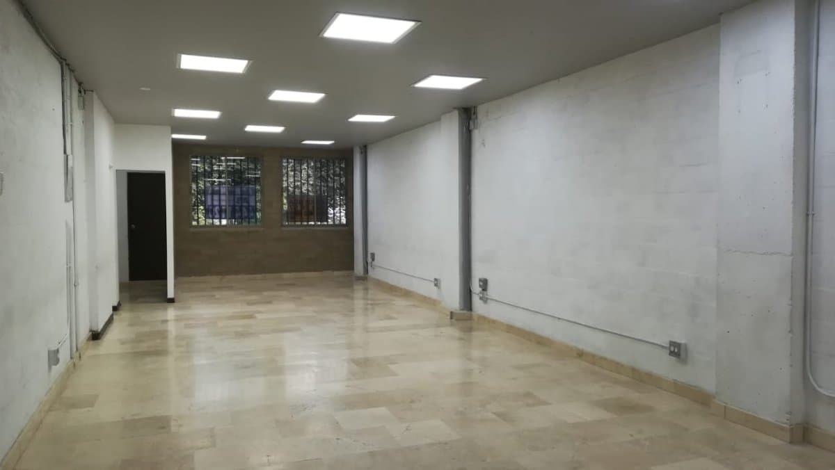 Bodega - Foto 2