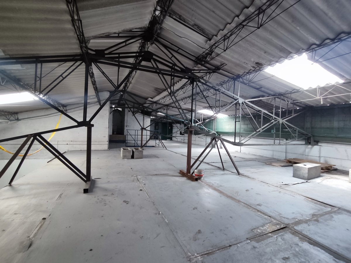 Bodega - Foto 23