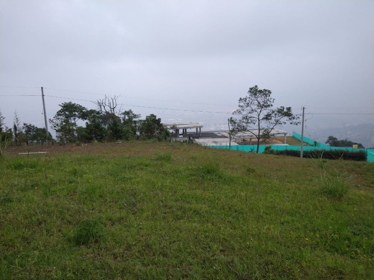 Lote - Foto 1