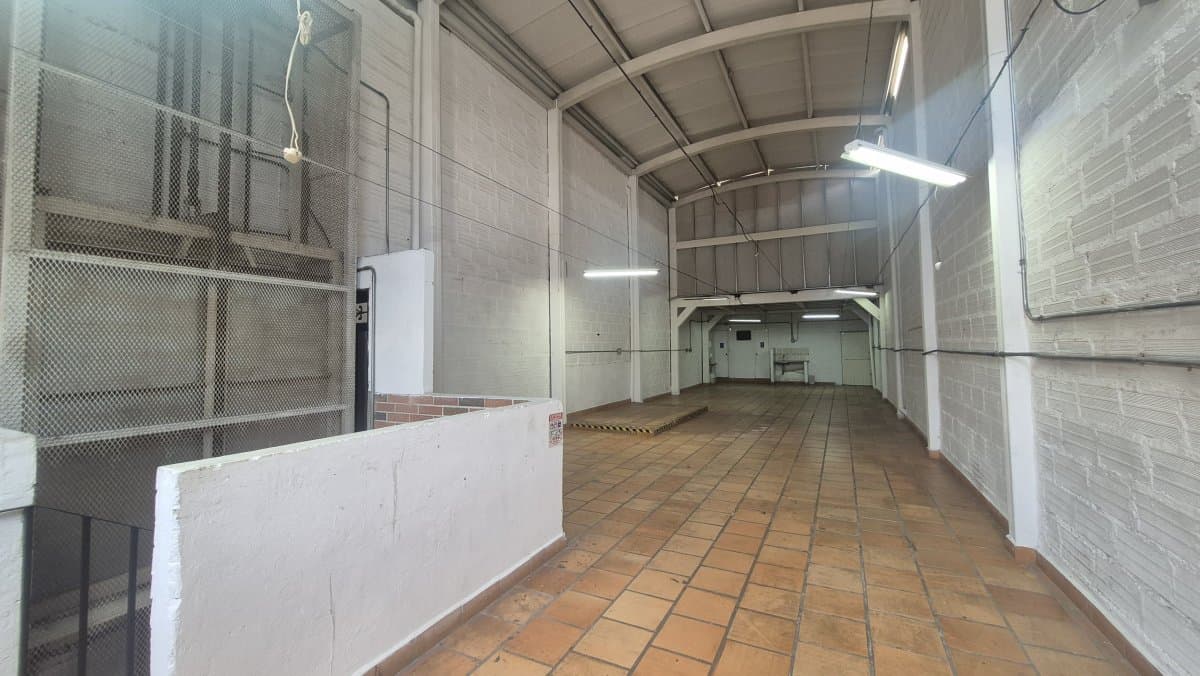 Bodega - Foto 5