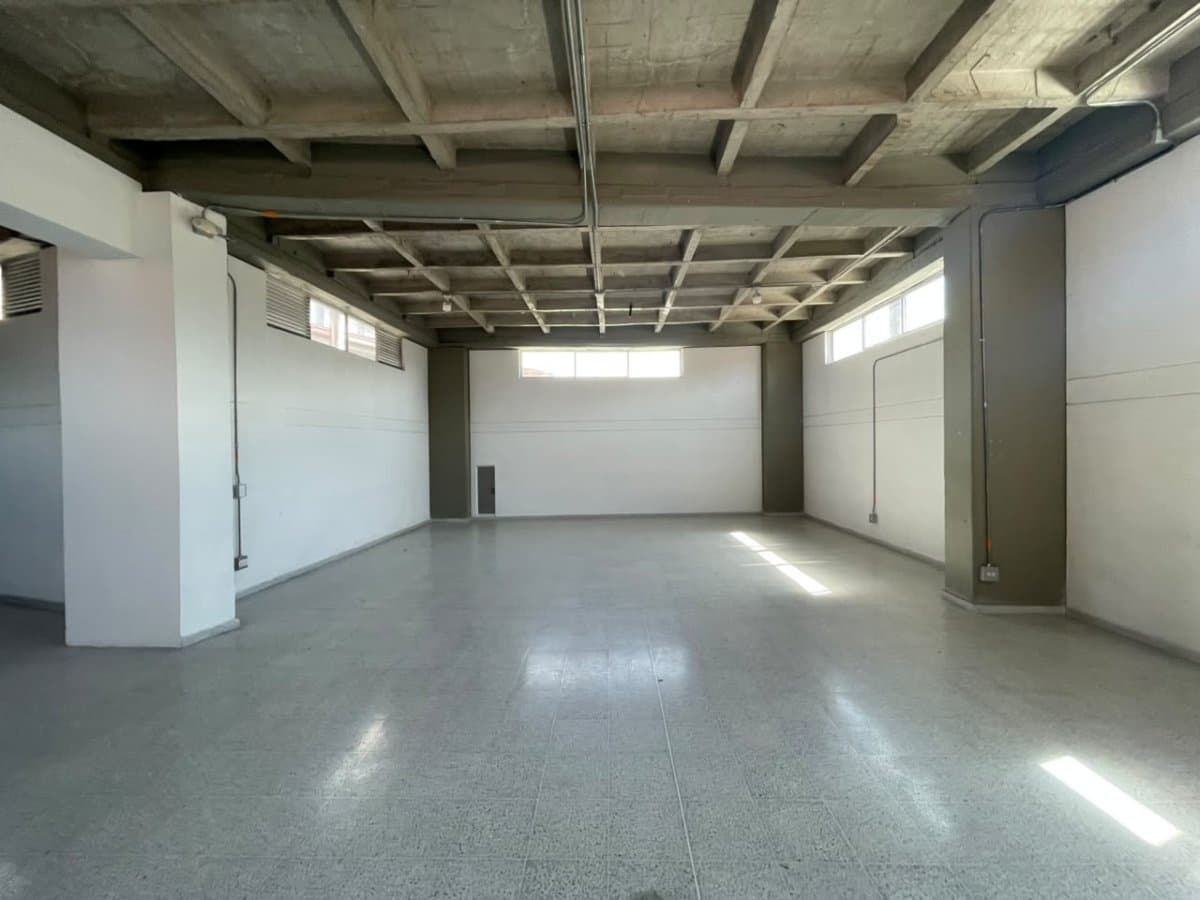 Bodega - Foto 4