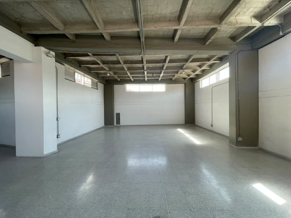 Bodega - Foto 4