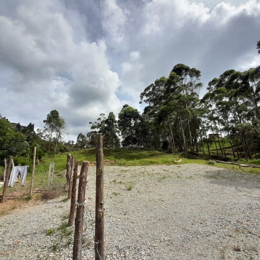 Lote - Foto 8