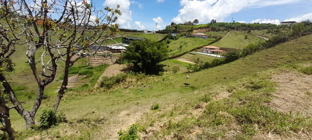 Lote - Foto 10