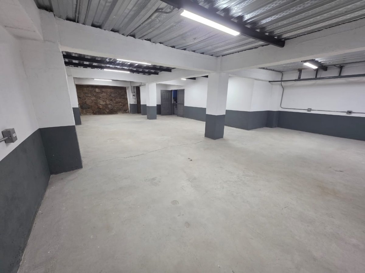 Bodega - Foto 12