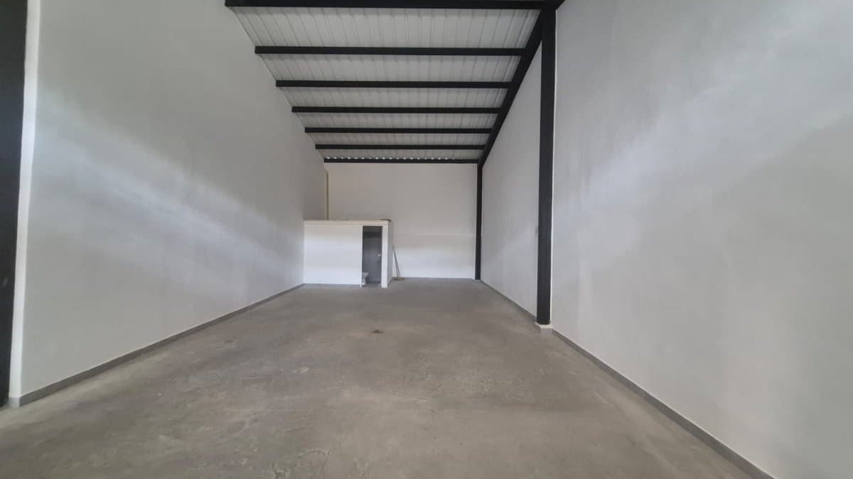 Bodega - Foto 5