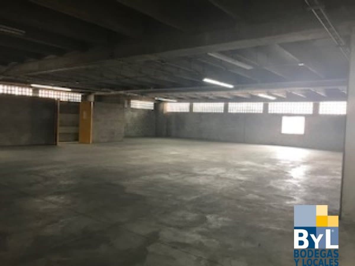 Bodega - Foto 3