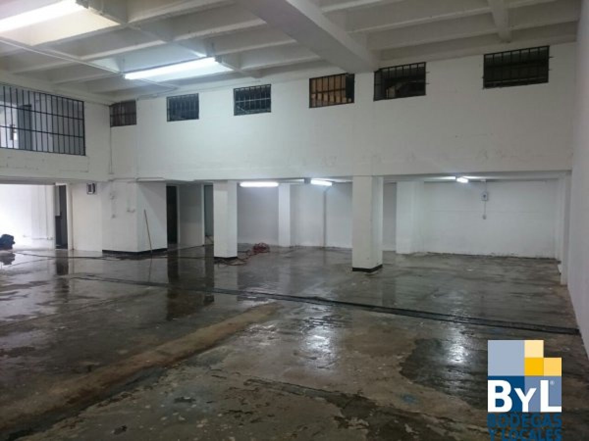 Bodega - Foto 4
