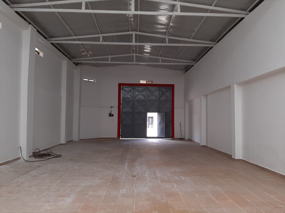 Bodega - Foto 3