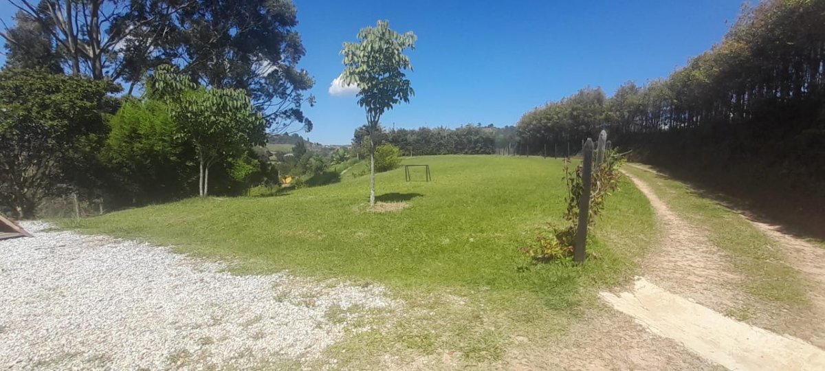 Lote - Foto 3