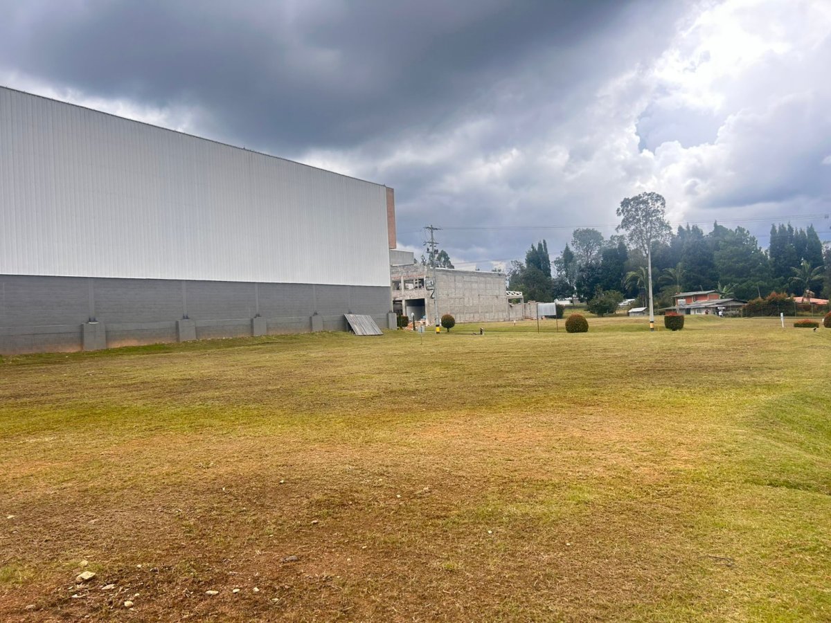Lote - Foto 2
