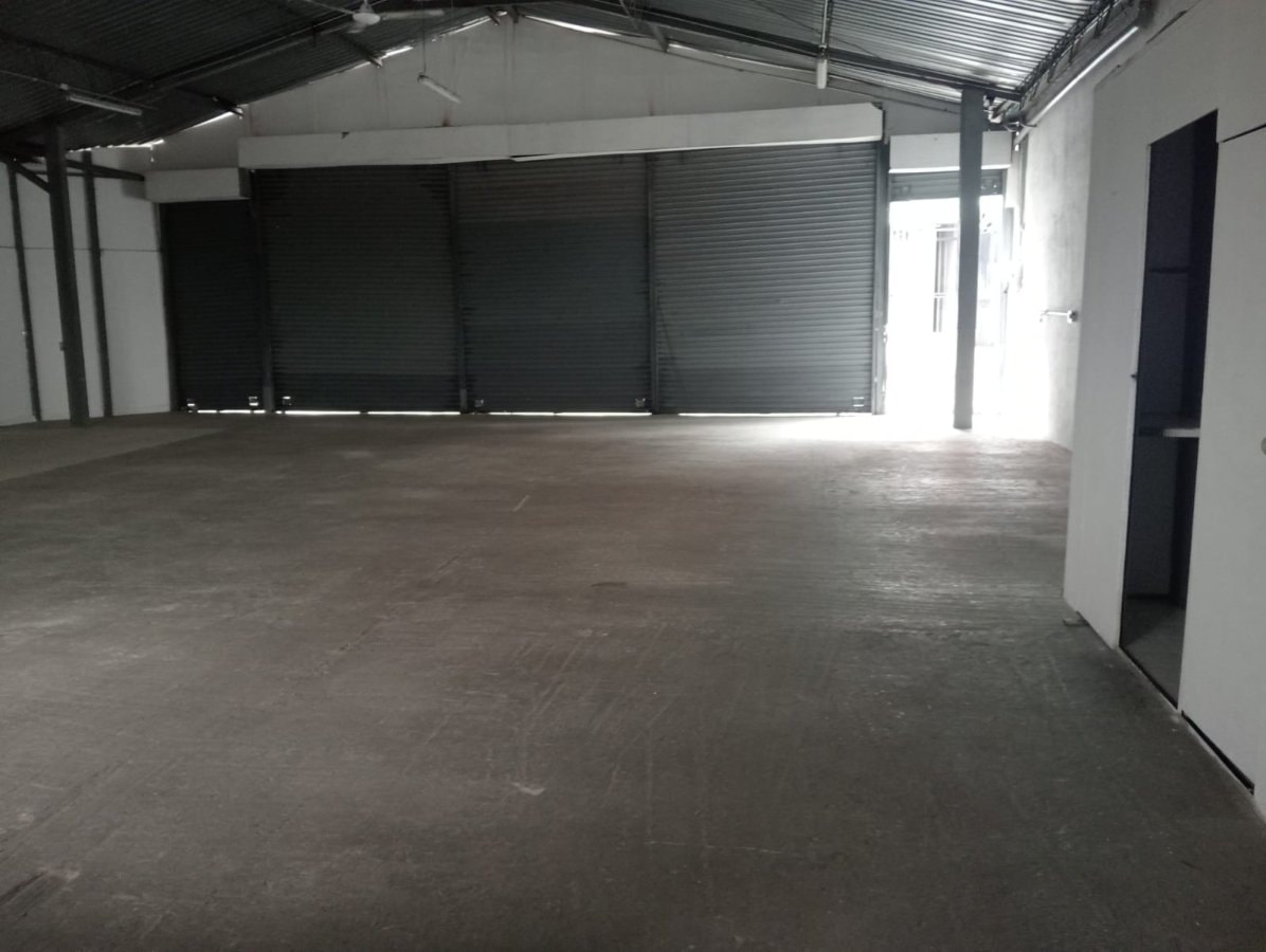 Bodega - Foto 3