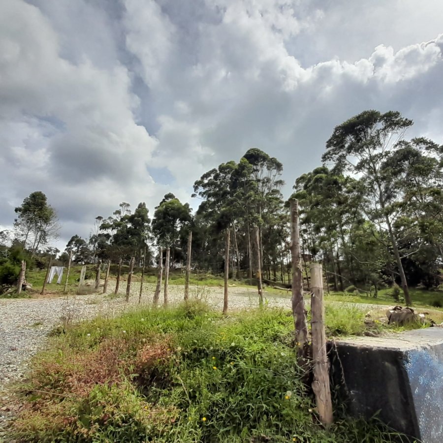 Lote - Foto 1