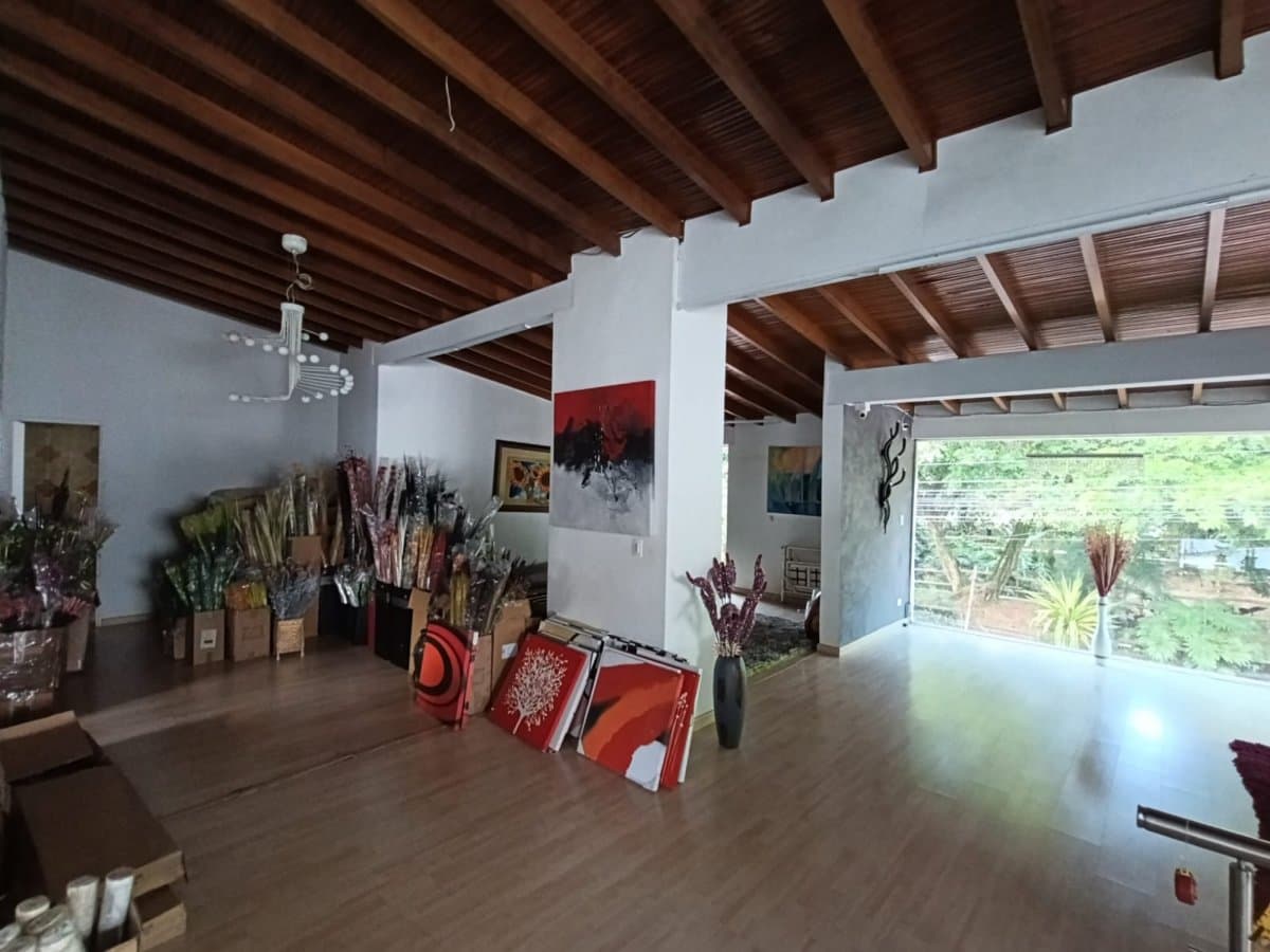 Bodega - Foto 4