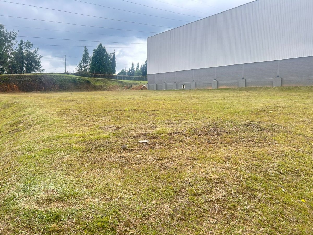 Lote - Foto 3