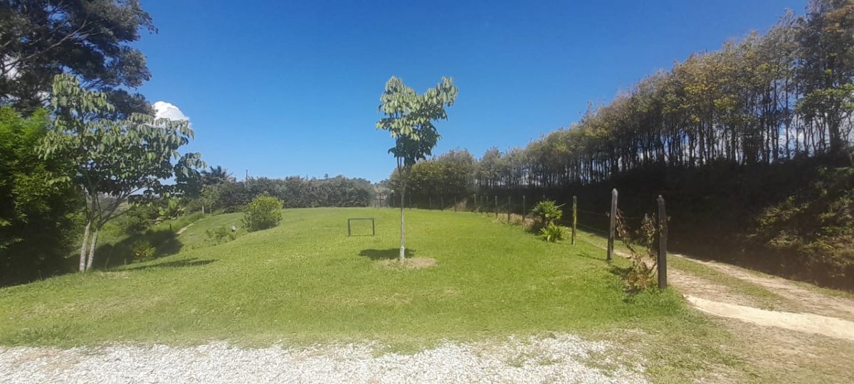 Lote - Foto 4