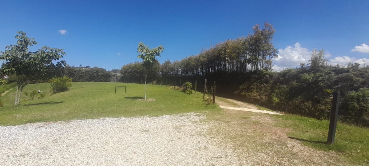 Lote - Foto 5