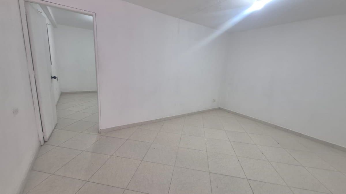 Bodega - Foto 5