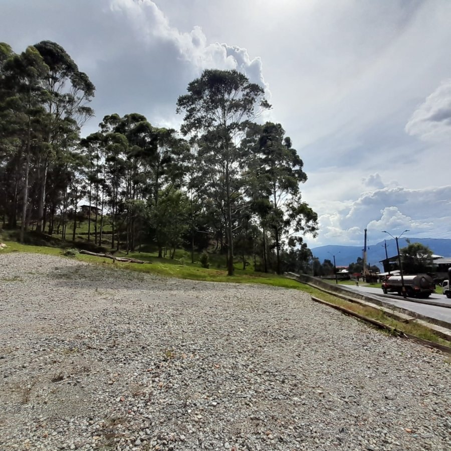 Lote - Foto 2