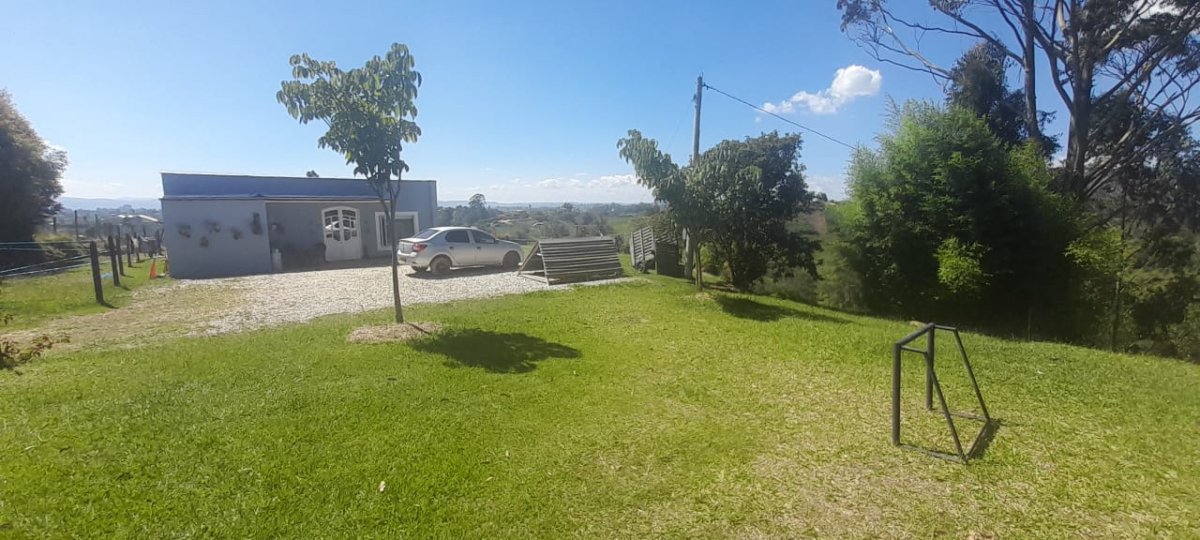 Lote - Foto 6