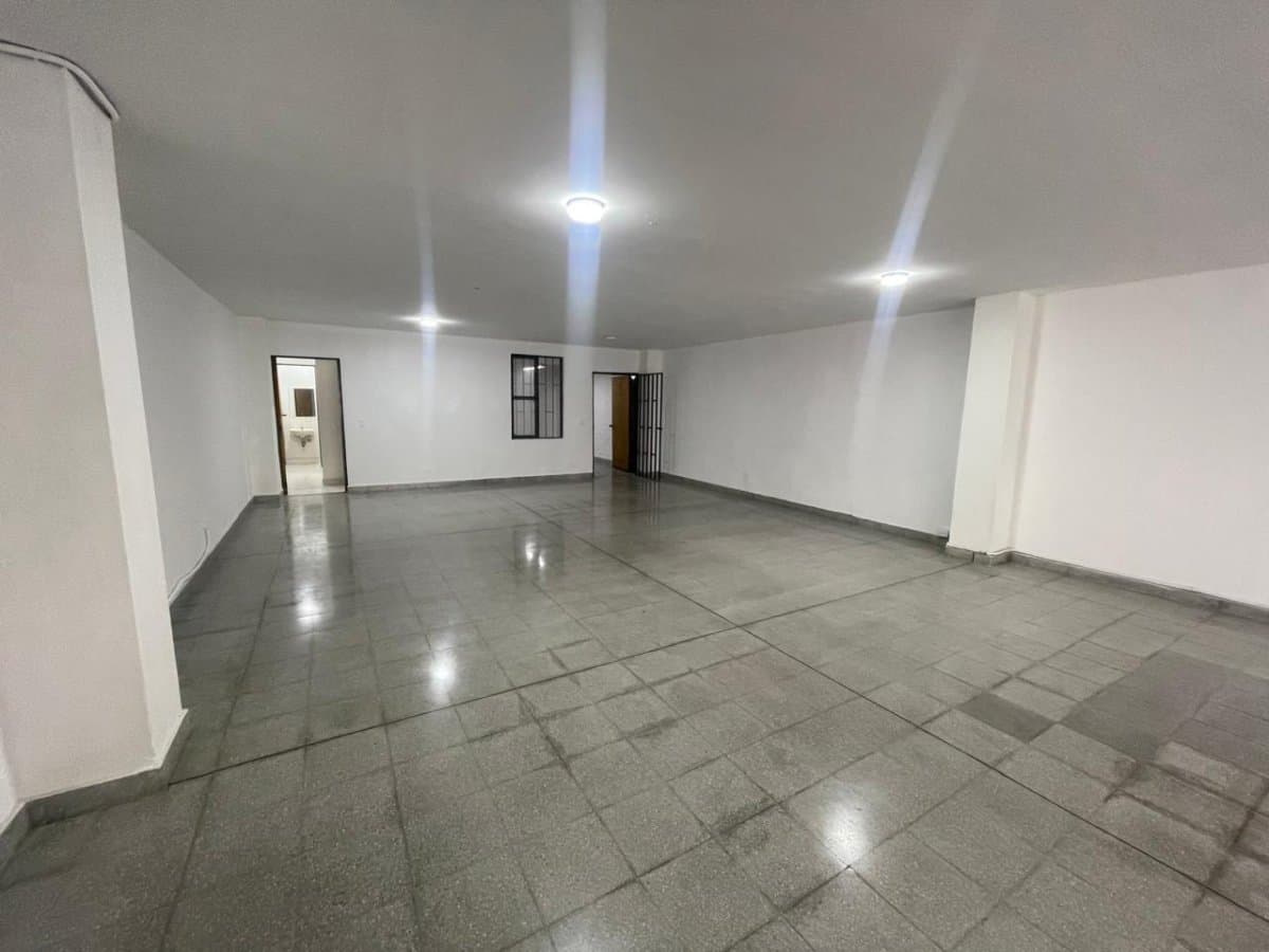 Bodega - Foto 10